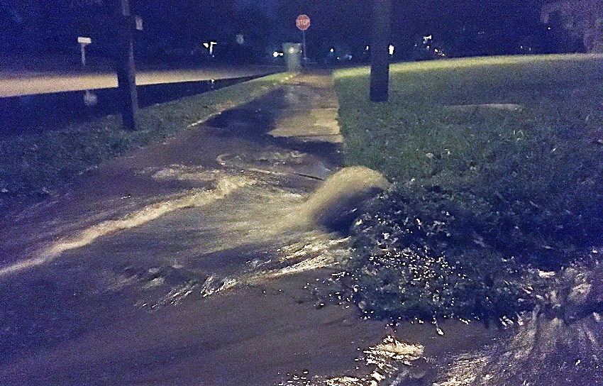 Surviving Middle of the Night Water Main Break