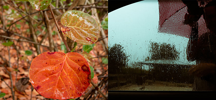 Photography Project #1: Edges and Transitions