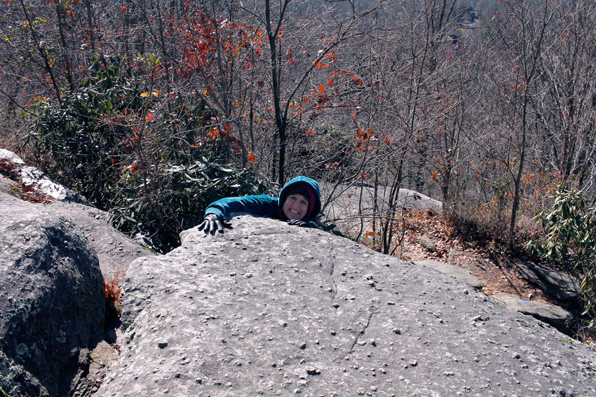 Will You See Black Bears in Gatlinburg, TN and The Great Smoky Mountains?